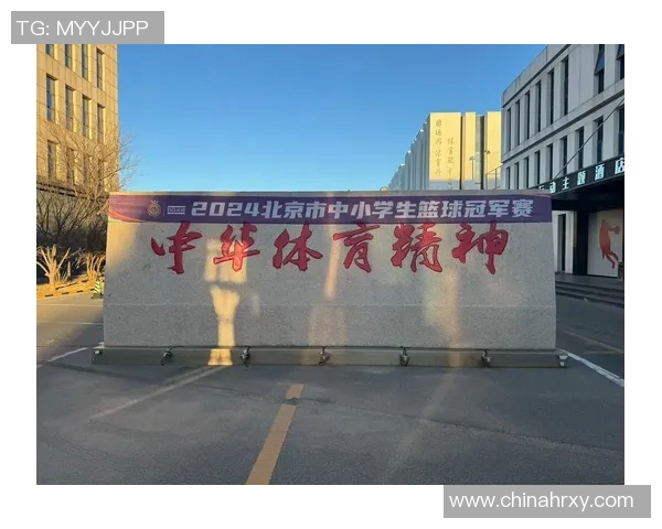 竞技体操协会推动竞技体操发展 提升青少年体育水平与竞技潜力 竞技体操协会推动竞技体操发展 提升青少年体育水平与竞技潜力