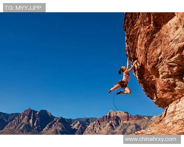 以运动员精神为核心，探索奋斗与坚持在竞技场外的价值与意义