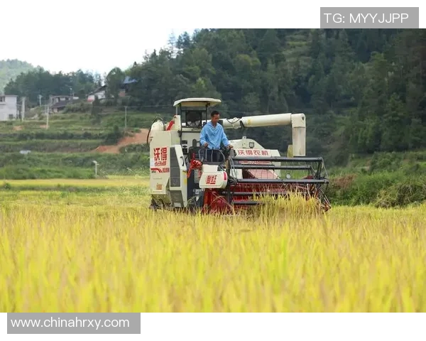大米种植的生态环境影响与现代农业技术的结合研究