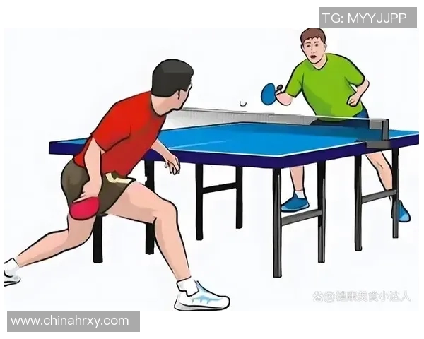 从零基础到高手之路乒乓球全面提升技巧与策略指南